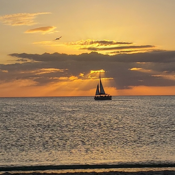 Just looking - Picture 1 of 1